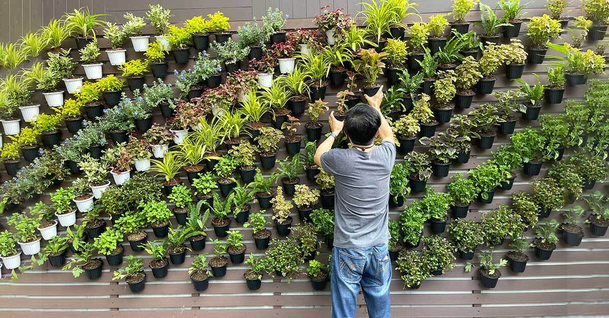 setting up vertical garden at your villa plots